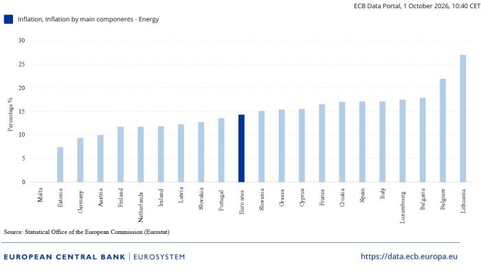 Inflaţia a atins cele mai ridicate cote din ultimii ani în marile economii din zona euro